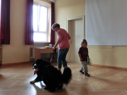 2017_08_08_hundestunde (6).jpg